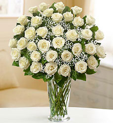 36 Premium Roses - You Choose Color  from Clermont Florist & Wine Shop, flower shop in Clermont